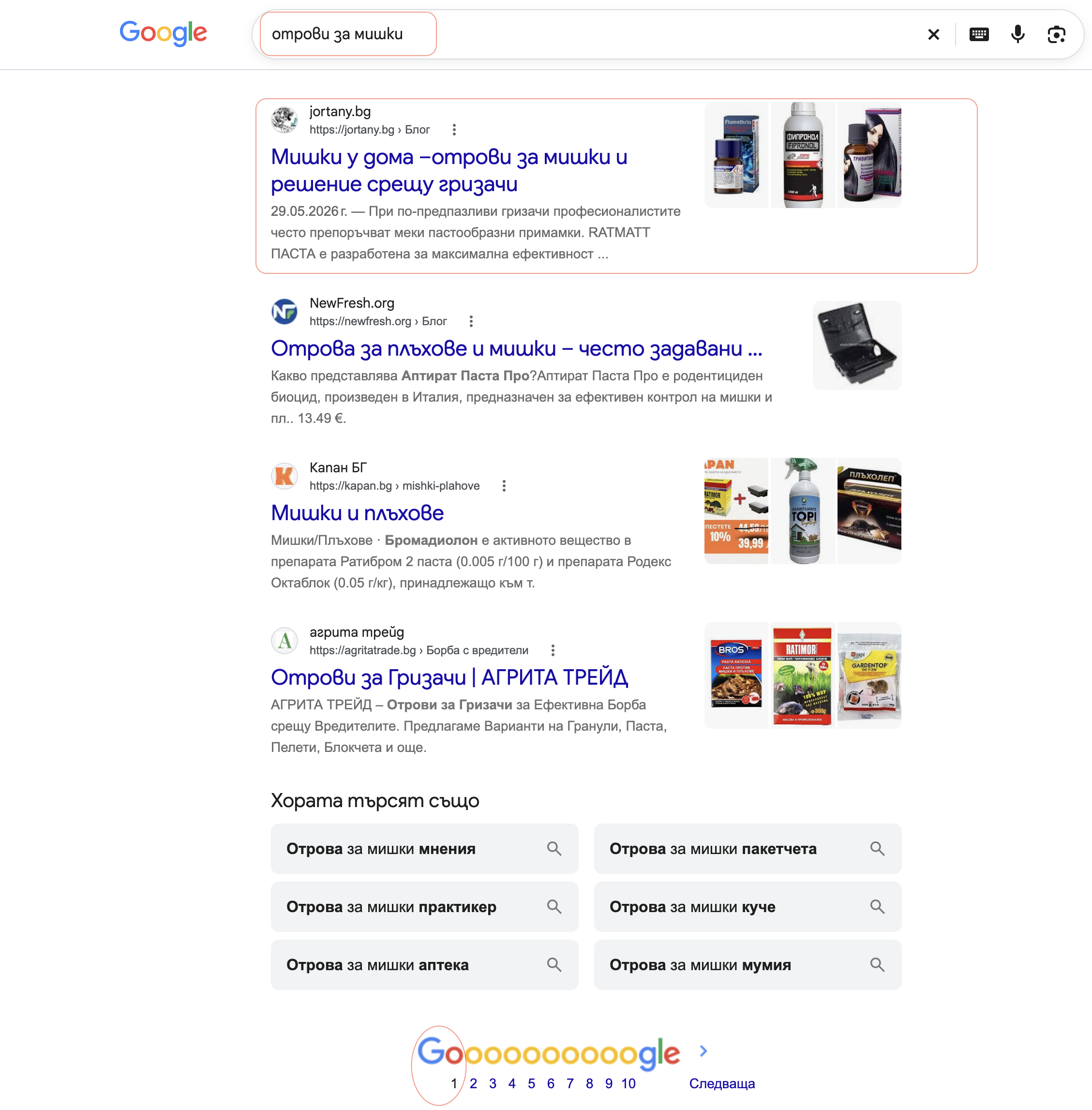 Jortany - SEO